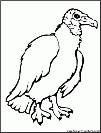 Vulture Coloring Page For Kids | 99coloring.com