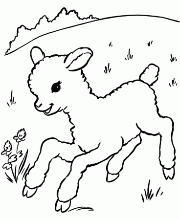 bunny outline printable easter printables coloring pages funny 