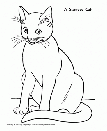 Cat Coloring Pages | Printable Siamese Cat Coloring Page 