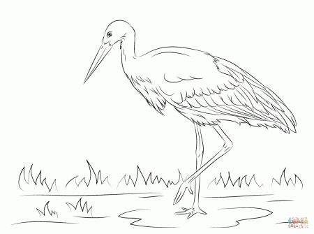 White Stork coloring page | Free Printable Coloring Pages
