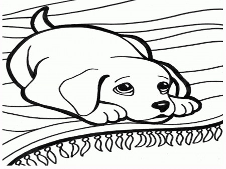 free printable colouring pages dogs - Clip Art Library