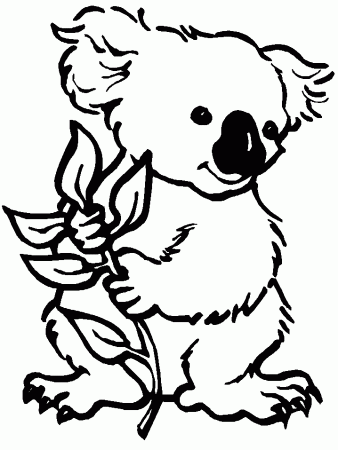 Free Printable Koala Coloring Pages For Kids | Animal coloring ...
