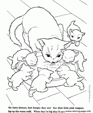 Story Of Cats Animal Coloring Pagesc41d Coloring Pages Printable