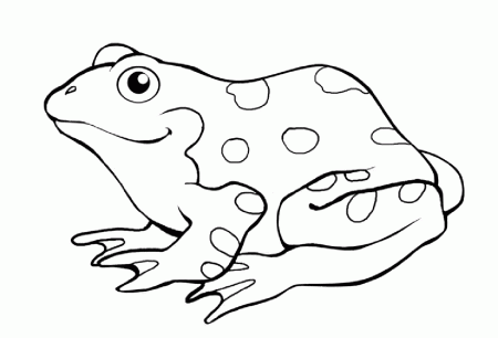 Poison Dart Frog Coloring Pages Printable - Coloring Page