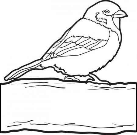 Free, Printable Sparrow Coloring Page for Kids
