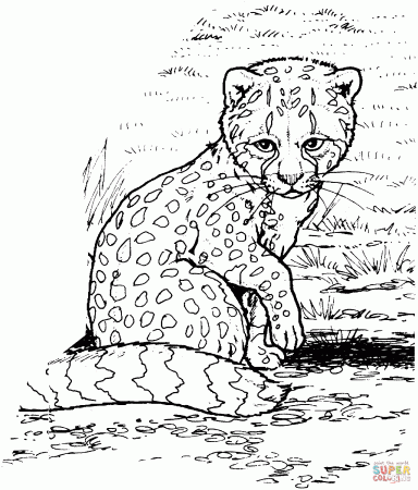 Cheetah Girls - Coloring Pages for Kids and for Adults