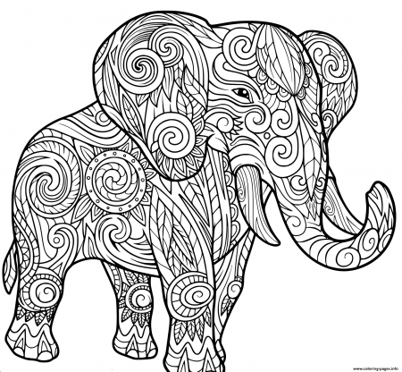 Free Animal Coloring Pages For Adults Sheet Unicorn Kids Sports To Print –  Approachingtheelephant