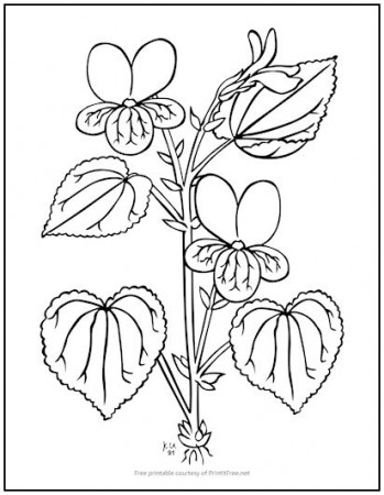 Flower Stem Coloring Page | Print it Free