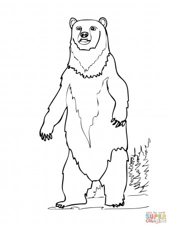 Brown Bear Standing up coloring page | Free Printable Coloring Pages