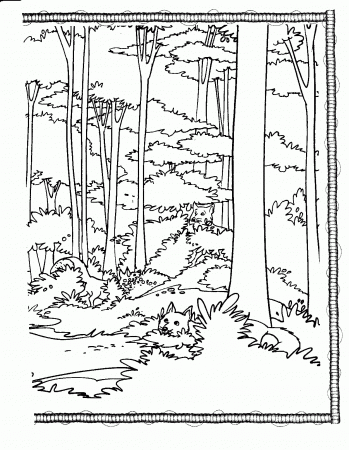 Forest Animal Coloring Pages Printable - Coloring