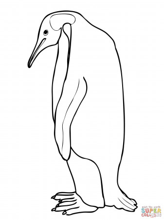 Emperor Penguin coloring page | Free Printable Coloring Pages