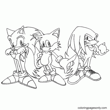 Knuckles, Sonic and Tails Coloring Pages - Knuckles Coloring Pages - Coloring  Pages For Kids And Adults