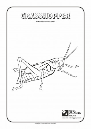 Insects coloring pages | Cool Coloring Pages
