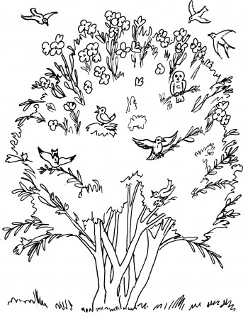 Seed coloring pages