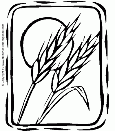 Wheat & Moon | Fall coloring pages, Wheat drawing, Wheat tattoo