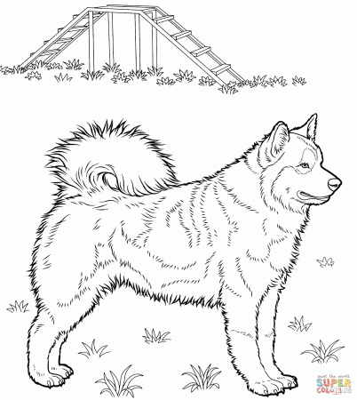 Husky coloring page | Free Printable Coloring Pages