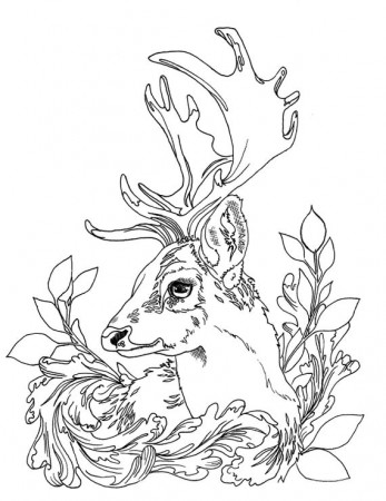 Deer Adult Coloring Pages Printable Download JPG | Etsy