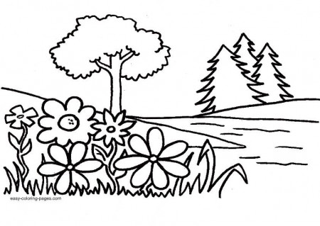 Creation Coloring Pages - Colorine.net | #5833