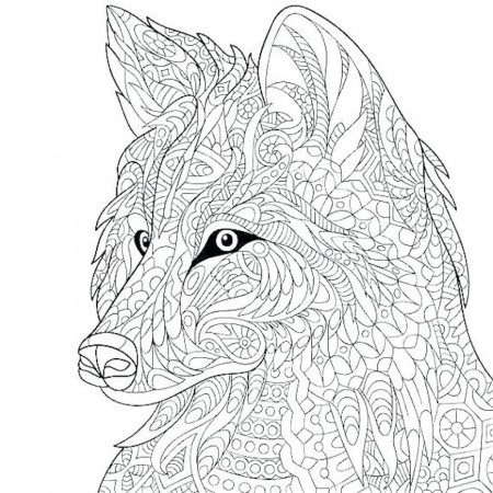 Wild Dog Coloring Pages And Other Free Printable Coloring Themes
