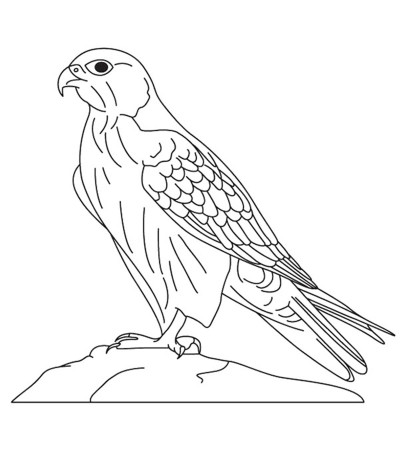 10 Printable Falcon Coloring Pages For Toddlers