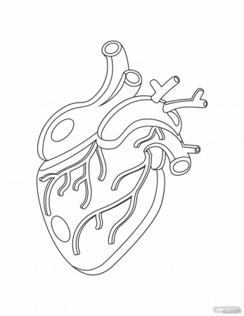Free Real Heart Coloring Page - PDF | Template.net