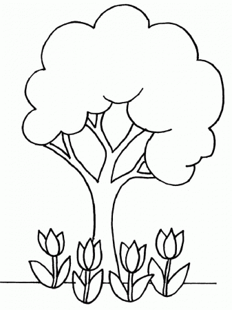 Picture Of A Tree To Color - Coloring Pages for Kids and for Adults