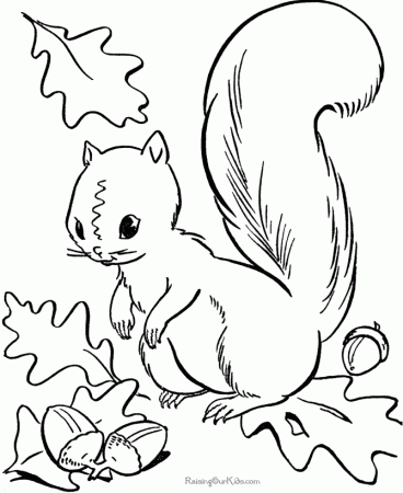 autumn coloring pages for fall or thanksgiving. prev next autumn ...