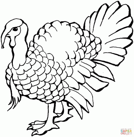 Turkey 2 coloring page | Free Printable Coloring Pages