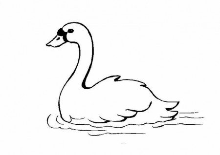 Kids-n-fun.com | 8 coloring pages of Swans