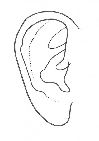Pair of Ear Coloring Pages: Pair of Ear Coloring Pages – Kids Play ...