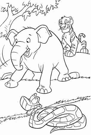 Jungle Coloring Pages | Coloring Kids