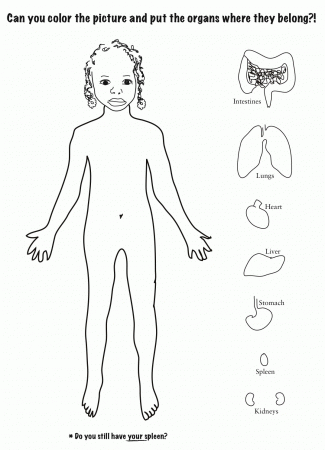 Acumen Coloring Pages Human Body Printable Coloring Pages For Kids ...