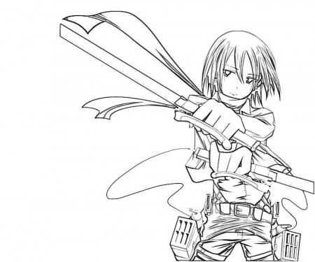 Mikasa Weapon | Nintendo Wee
