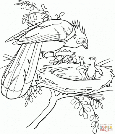 Free Coloring Pages Of South America Animals South American ...