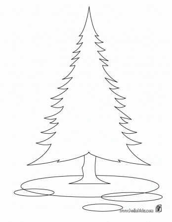 TREE coloring pages - Pine tree