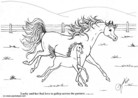 Realistic Horse Coloring Pages - Coloring Labs