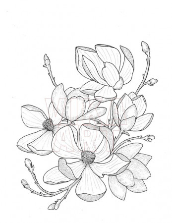 Magnolia Flower Coloring Page/instant Download Coloring Page - Etsy
