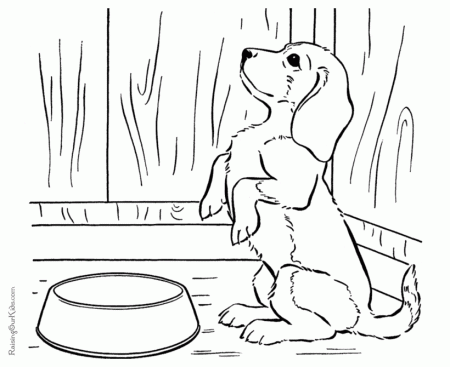 Cute Puppy Coloring - Coloring Pages for Kids and for Adults