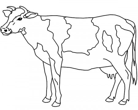 Cows Sharp Horn Coloring Pages | Kids Play Color