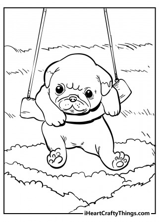 Cute Animals Coloring Pages (Updated 2022)