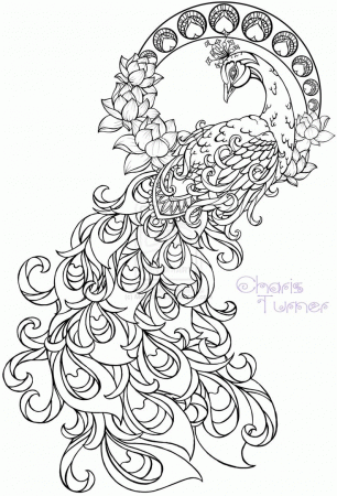 Related Peacock Coloring Pages item-11000, Peacock Coloring Pages ...