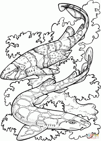 Zebra Sharks coloring page | Free Printable Coloring Pages