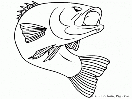 Fish Coloring Pages (19 Pictures) - Colorine.net | 19272