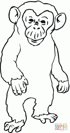 Angry Chimpanzee coloring page | Free Printable Coloring Pages