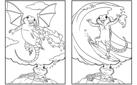 Bearded Dragon Daydreams Coloring Book: Beck, A.K., Obina, D.R.:  9784908629051: Amazon.com: Books