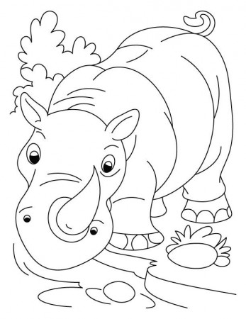 Free Printable Rhinoceros Coloring Pages For Kids