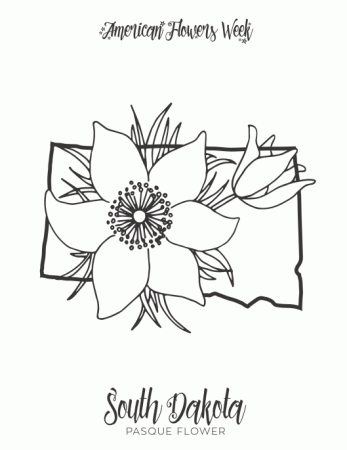 50 State Flowers — Free Coloring Pages – american flowers week