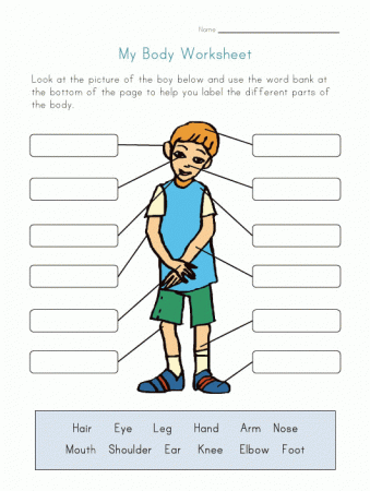 Preschool Body Parts Worksheet