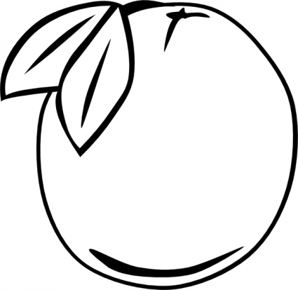 Orange Fruit Coloring Sheets - High Quality Coloring Pages