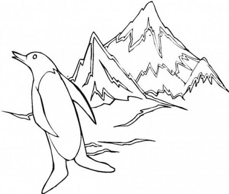 Arctic Animals Penguin at Iceberg Coloring Page | Kids Play Color